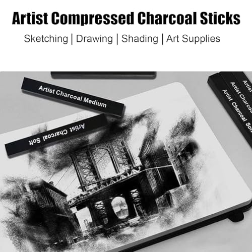 26 pcsPainting Set for Beginners and Artists, 18 Pieces Stencils, 6 PCS Compressed Charcoal Sticks, 2 Pack Kneaded Rubber Erasers Large Size, DIY Drawing Paint Back to School