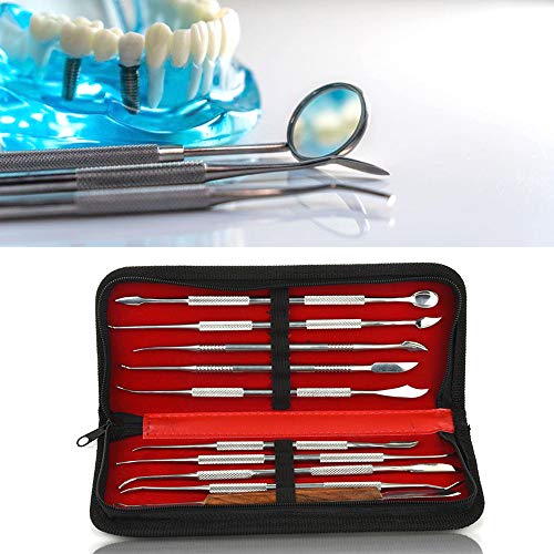 FveBzem 10 pcs/Set Wax Carving Tools Stainless Steel Wax Carver Clay Pottery Sculpture Tools Dental Instrument Kit Surgical Dentist Sculpture Knife Instruments Tool Kit with Storage Bag