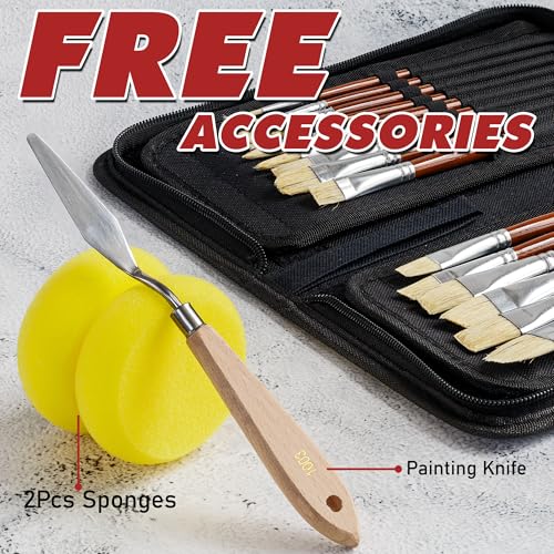DUGATO Paint Brush Set 15 pc with Pop-Up Case, Palette Knife & Sponges | Short Handle Hog Bristle Brushes for Oil, Acrylic, Gouache, Watercolor, Model & Craft, Includes Mixing Knife & Sponge - color: White Hog Hair - 15pcs