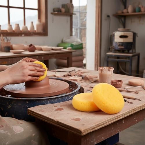12 PCS Round Artist Craft Sponges Pottery Sponges for Clay | Painting Sponge Shoe Polish Sponge for Pottery, Watercolor, Ceramics, Face Painting, Household Cleaning and Leather Care