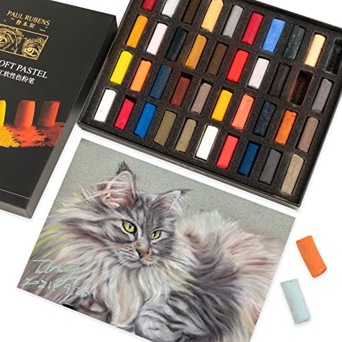 Paul Rubens Professional Soft Pastels, 40 Portrait Colors Chalk Pastels Vibrant Smooth and High Adhesion for Painting, Drawing, Blending, Crafting, Ideal Art Supplies for Artists, Beginners - color: 40 Colors
