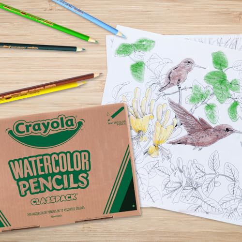 Crayola Classpack Watercolor Pencils, 240ct, 20 Each of 12 Colors, Teacher Appreciation Gifts, Classroom Must Haves & Essentials - style: Watercolor