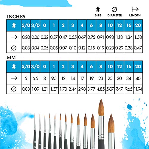 Princeton Aqua Elite, Series 4850, Synthetic Kolinsky Watercolor Paint Brush,Round, Size 16 - size: Size 16