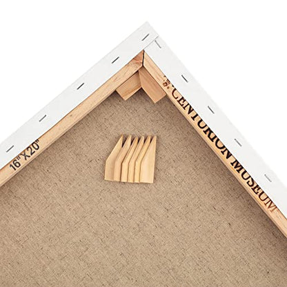 Centurion Deluxe Professional Acrylic Primed Linen Pre-Stretched Canvases, 11oz Linen - 16"x20", Box of 3, 1.5" Deep - Kiln-Dried Stretchers, Back Stapled, Canvas for Painting, Museum Archival Quality - size: 18"x18"