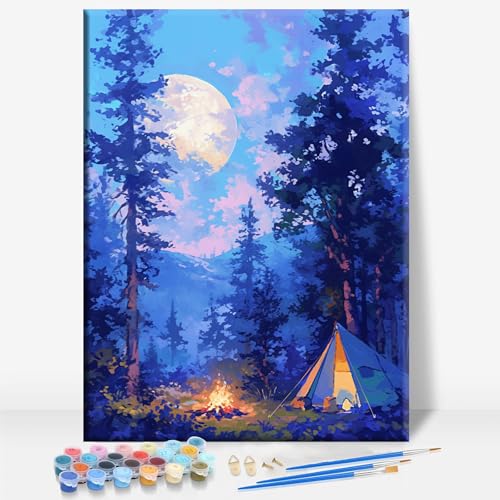 HUINORYA Campfire Night Camping Framed Canvas DIY Paint by Numbers Kit Bar Cafe Cave Home Room Wall Bathroom Porch Patio Decor Gift, 16 x 12 Inch - color: CAMPFIRE NIGHT