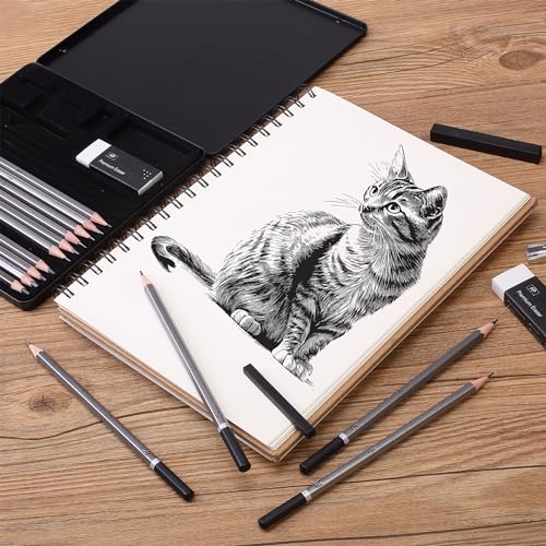 Mr. Pen- Drawing Sketching Pencil Set, 19 pcs, Graphite Pencils (10B-6H) | Graphite Sticks, Erasers, Metal Sharpener, for Drawing, Sketching, Shading & Art Projects - size: 19 pcs