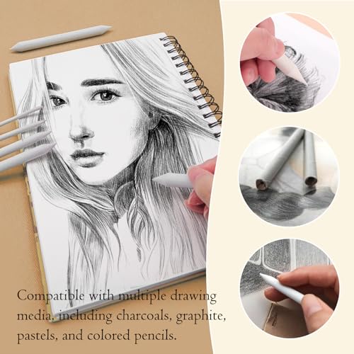 Hodyludy 298 Pcs Blending Stumps and Tortillions, Paper Art Blenders, Art Pencils, Drawing Pencils for Student Artist Charcoal Sketch Supplies with Sandpaper