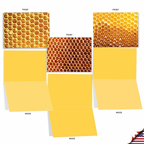 The Best Card Company - 10 Assorted Blank Notes Box Set 4 x 5.12 Inch with Envelopes (10 Designs, 1 Each) Boxed Assorted Kid Cards of Pets - HONEY I'M HOME M3060 - style: Honey I'm Home