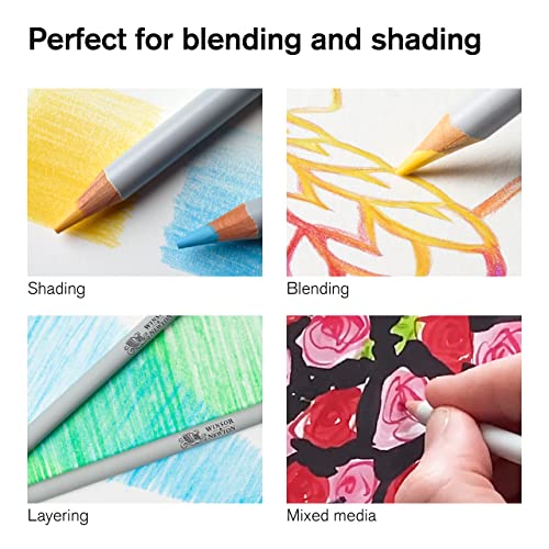 Winsor & Newton Studio Collection Artist Pencils, Color Pencils, Set of 12 - style: 12 Color Pencils