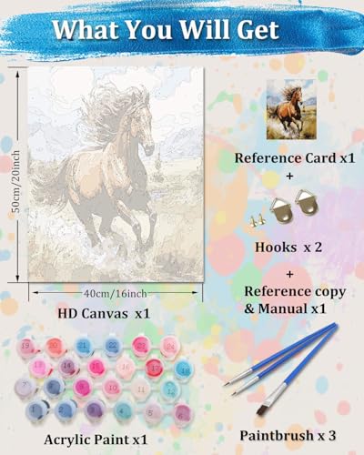 TOCARE Horse Paint by Numbers Kit for Adults,Acrylic Adult Paint by Number Canvas Running Horse,16x20inch Adults' Paint-by-Number Kits - color: TC-OPC-72