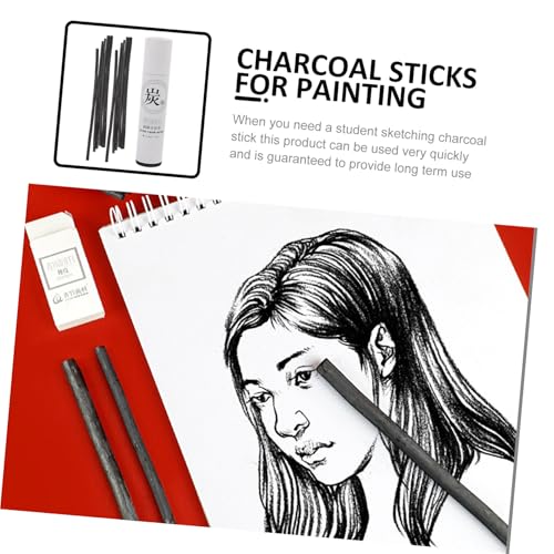 jojofuny 25Pcs Compressed Charcoal Sticks for Artists Durable Willow Drawing Pencils Smooth Surface Shading Sketching Supplies for Students and Professionals