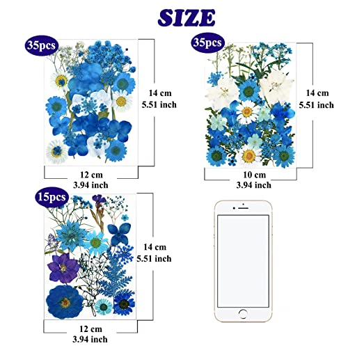 85 Pcs Blue Pressed Dried Flowers for Resin Molds, Real Natural Flowers Leaves Bulk for DIY Art Nail Crafts, Jewelry, Candle, Soap Making - color: Blue