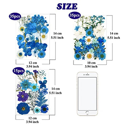 85 Pcs Blue Pressed Dried Flowers for Resin Molds, Real Natural Flowers Leaves Bulk for DIY Art Nail Crafts, Jewelry, Candle, Soap Making - color: Blue