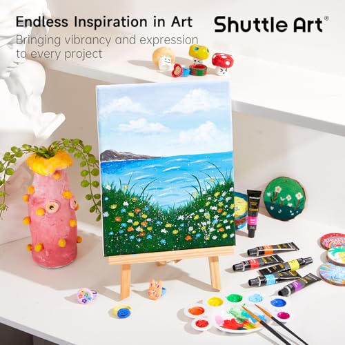 Shuttle Art Acrylic Paint Set, 16 x12ml Tubes Artist Quality Non Toxic Rich Pigments Colors Great for Kids Adults Professional Painting on Canvas Wood Clay Fabric Ceramic Crafts - color: 16 Colors