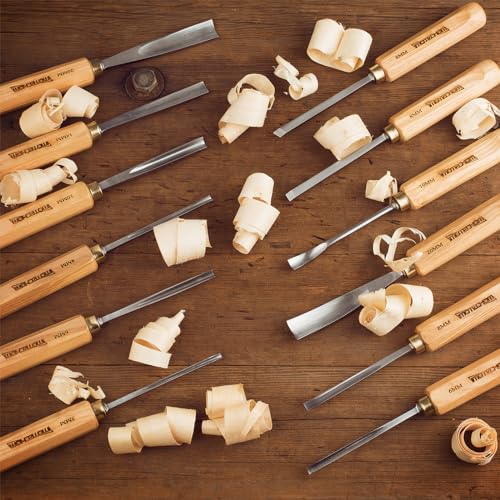 12-Pieces Woodworking Wood Carving Tools Chisel Set with Canvas Bag, Razor Sharp CR-V 60 Steel Blades - size: 12-Pieces with Ash Handle