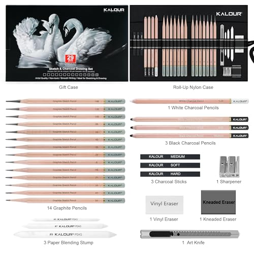 KALOUR 29 Pro Sketching Drawing Pencils Set with Roll-Up Nylon Case – 14 Graphite Pencils (14B–5H), Charcoal Pencils, Erasers, Sharpener & Stumps – Complete Art Kit for Artists & Beginner