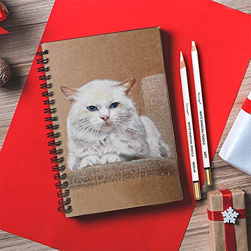 6 Pcs White Charcoal Pencils Drawing Set, Professional Smooth Soft & Medium Sketching Pencil Art Supplies for Drawing, Highlighting, Sketching, Blending