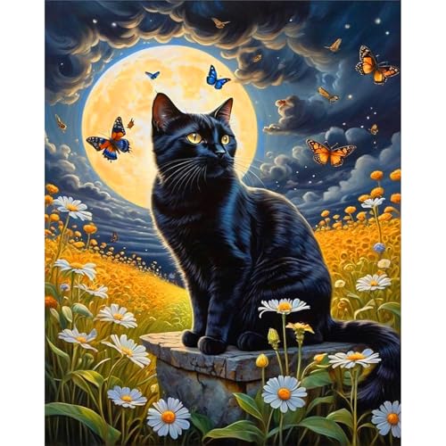 xackcme Cat Paint by Numbers for Adults - Black Cat Paint by Number on Canvas Without Frame, DIY Moon Night Oil Painting for Gift Home Wall Decor (16x20 inch) - color: MT13394