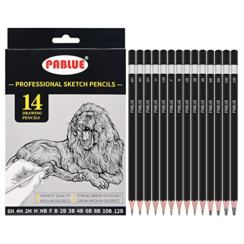 Professional Triangular Drawing Sketching Pencil Set,6H,4H,2H,H,HB,F,B,2B,3B,4B,6B,8B,10B,12B Graphite Shading Pencils Gift for Beginners,ProArtists,Drawing,Drafting,Sketching,Shading(14 Pcs)
