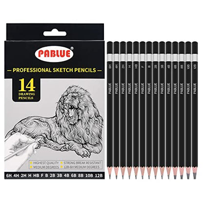 Professional Triangular Drawing Sketching Pencil Set,6H,4H,2H,H,HB,F,B,2B,3B,4B,6B,8B,10B,12B Graphite Shading Pencils Gift for Beginners,ProArtists,Drawing,Drafting,Sketching,Shading(14 Pcs)