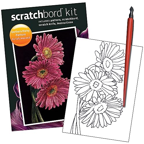 Ampersand Art Supply Scratchbord | Gerber Daisy | 5’’ x 7’’ | Professional Scratchboard Art Panel | for Scratchboard Drawing, Illustration & Mixed Media - style: Gerber Daisy