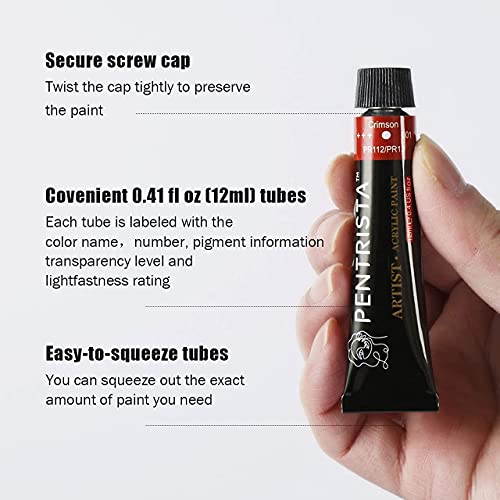 Professional Acrylic Paint Sets, 12 Colors 12ml/0.41 fl.oz Art Paint Tubes with 3pcs Brush + Palette,Heavy Body Acrylic Paints for Artists Adults,Beginners on Canvas Rocks Wood Fabric Craft - color: 12 Colors