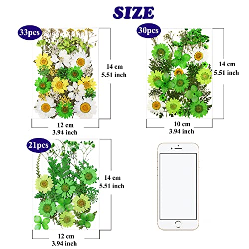 84 Pcs Green Dried Pressed Flowers Real Natural Leave for DIY Resin Molds Candle Jewelry Nail Crafts Gifts - color: Green