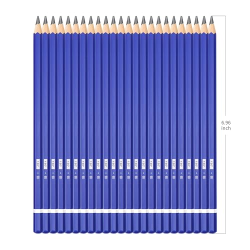 XDT#9B Drawing Pencils 24 Piece Set, Pro Art Graphite Sketching&Shading Supplies, Ideal For Kid Beginner Student Adults Artist - color: 9B 24 Pc Set