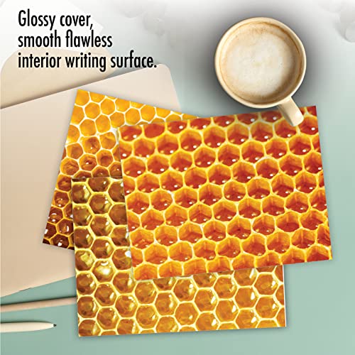 The Best Card Company - 10 Assorted Blank Notes Box Set 4 x 5.12 Inch with Envelopes (10 Designs, 1 Each) Boxed Assorted Kid Cards of Pets - HONEY I'M HOME M3060 - style: Honey I'm Home