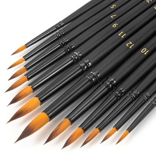 Watercolor Brushes Professional Set，12pcs Artist Watercolor Paint Brushes，Round Painting Brush for Watercolor, Acrylics, Ink, Gouache(Black)