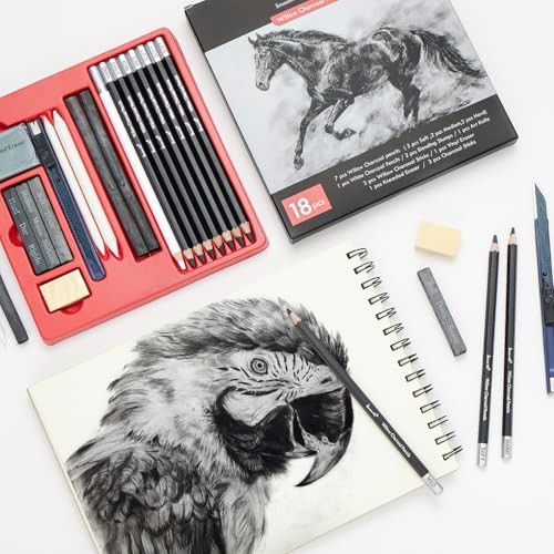 Brusarth Charcoal Pencils for Drawing, 18 Pcs Art Pencil Kit, Professional Sketching Pencil, Art Supplies for Drawing, Shading, Sketching, Blending, Artist Pencils for Beginners & Artists