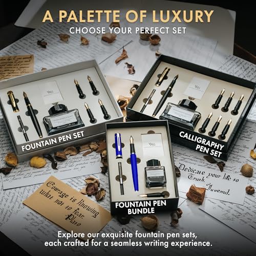 Wordsworth & Black Fountain Pen Set,18K Gilded Medium and Extra Fine Nib,25ML Black Ink Bottle,6 Ink Cartridges,Refill Converter,Gift Box,Smooth Writing Pens [Blue Chrome],Gift Set for Men and Women - color: Blue Chrome