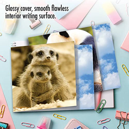 The Best Card Company - 10 Adorable Note Cards Blank (4 x 5.12 Inch) - Wildlife and Animal Cards, Assorted Boxed Set - Mommy Dearest AMQ4961OCB-B1x10 - style: Mommy Dearest