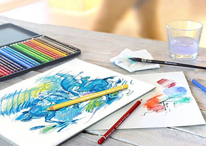 FABER-CASTELL FC117524 Albrecht Durer Artist Watercolor Pencils in A Tin (24 Pack), Assorted
