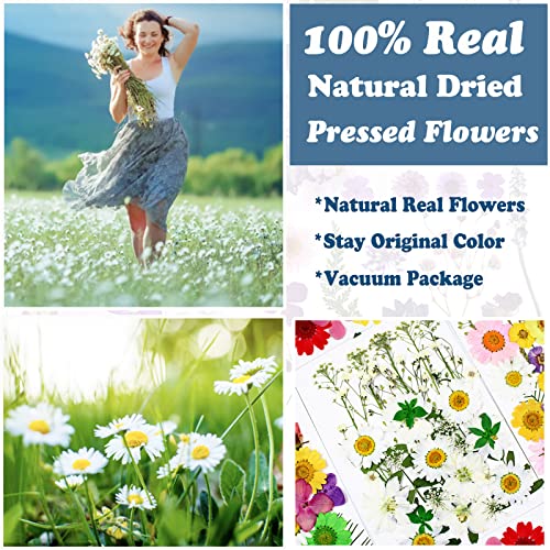 86Pcs White Pressed Dried Flowers Real Natural Leave for DIY Resin Molds Candle Jewelry Nail Crafts Gifts - color: White