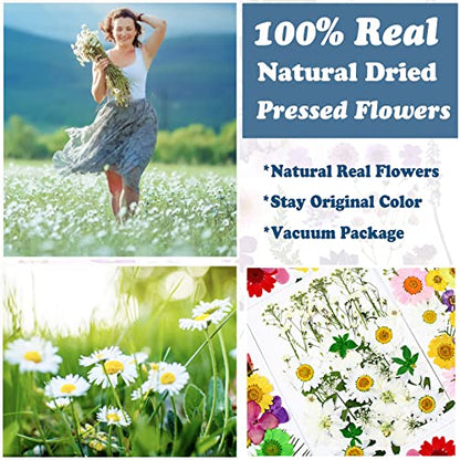 86Pcs White Pressed Dried Flowers Real Natural Leave for DIY Resin Molds Candle Jewelry Nail Crafts Gifts - color: White