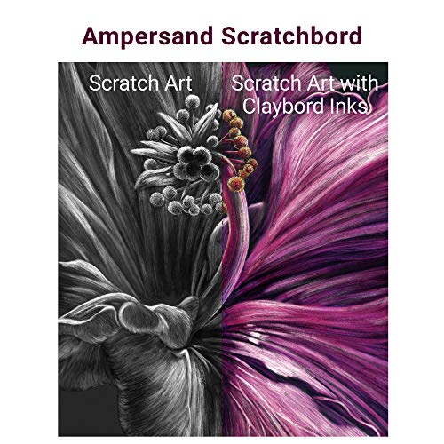 Ampersand Art Supply Scratchbord | Parrot | 5’’ x 7’’ | Professional Scratchboard Art Panel | for Scratchboard Drawing, Illustration & Mixed Media - style: Parrot