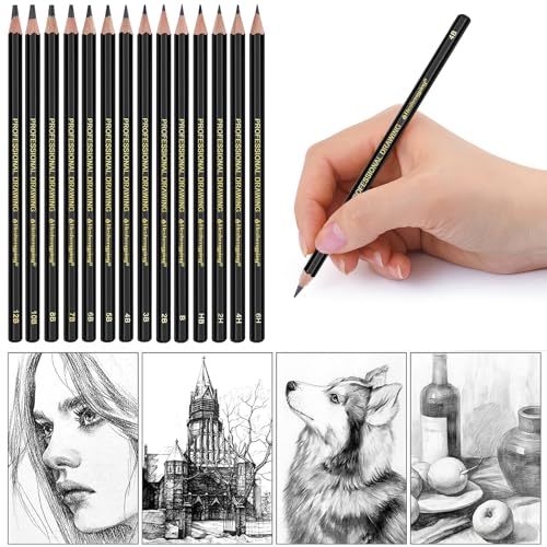 Sketch Pencils Set for Drawing, 14 Pack Graphite, for Art, Pencil kit for Sketching, Shading, Artist Pencils for Beginners Pro Artists