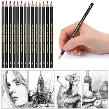 Heshengping Drawing Sketch Pencil Set 14pcs Sketching Pencils 12B 10B 8B 7B 6B 5B 4B 3B 2B B HB 2H 4H 6H Graphite Pencils for Kid Adults Artists Student Beginners Professional - color: Style3