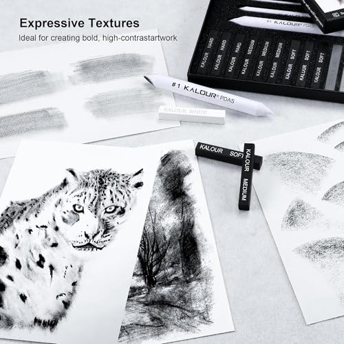 KALOUR 15 Pro Compressed Charcoal Drawing Set with Blending Stumps- Soft,Medium,Hard and White Charcoal - Charcoal Sticks for Drawing Sketching Shading - Art Supplies for Artists Beginners Adults