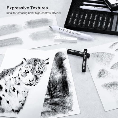 KALOUR 15 Pro Compressed Charcoal Drawing Set with Blending Stumps- Soft,Medium,Hard and White Charcoal - Charcoal Sticks for Drawing Sketching Shading - Art Supplies for Artists Beginners Adults
