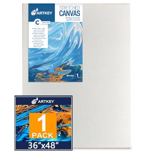 Gallery Wrapped Large Stretched Canvases for Painting 36x48 Inch 1-Pack, 16 oz Triple Primed Acid-Free 100% Cotton Blank Canvas, Spline Large Canvas for Oil Paint Acrylics Pouring & Wet Art Media - size: 36"x48"(1-Pack), style: Exhibition