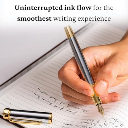 Ellington Pens Luxury Fountain Pen Set - Smooth Fine Nib - Includes 3 Ink Cartridges, Refillable Ink Converter, Gift Box - Fountain Pens For Writing, Calligraphy, Journaling (The Presidential Oath) - color: Silver Horizon, style: Fine