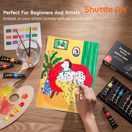 Shuttle Art Acrylic Paint Set, 30 x12ml Tubes Artist Quality Non Toxic Rich Pigments Colors Great for Kids Adults Professional Painting on Rocks Canvas Wood Clay Fabric Ceramic Crafts - color: 30 Colors