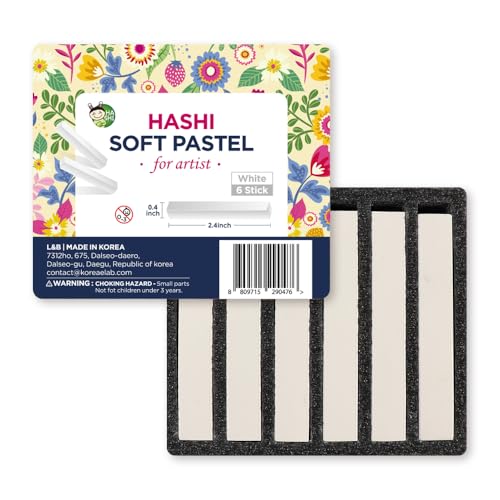 HA SHI Professional Soft Chalk Pastels for Adult Artists, Square Artist Grade Drawing Media, White, 6 Sticks - color: White (6 Sticks)