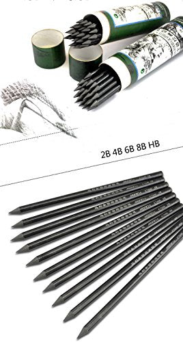 LI-GELISI Artist Woodless Graphite Charcoal Sticks Charcoal Sketching Pencil 24 Piece (Whole Lead Core 2B)