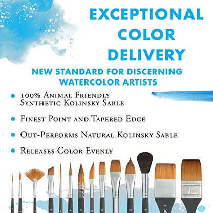 Princeton Aqua Elite Round Brush, Synthetic, Short Handle, Size 3/0 inch, 1 Count - size: Size 3/0