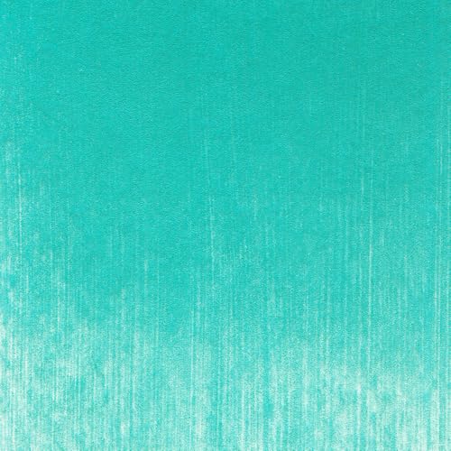 PanPastel Artist Pastels by GOLDEN, Turquoise, 2.44” / 62mm Pan Diameter, Professional Artist Pastels, Unique Pan Format (cake-like) - color: Turquoise, size: 1 Count (Pack of 1)