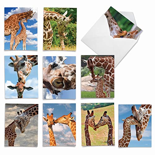 The Best Card Company - 10 Adorable Note Cards Blank (4 x 5.12 Inch) - Wildlife and Animal Cards, Assorted Boxed Set - Kissing Giraffes AM6843OCB-B1x10 - style: Kissing Giraffes