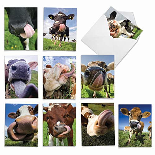 The Best Card Company - 10 Adorable Note Cards Blank (4 x 5.12 Inch) - Wildlife and Animals, Assorted Boxed Set - Cowlicks M4604OCB-B1x10 - style: Cowlicks
